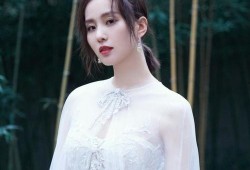 刘诗诗爆料肖战了吗视频,独家爆料视频揭秘真相