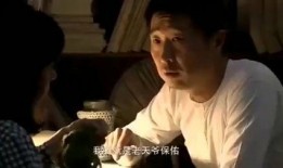 王贵与安娜在线观看视频播放,浪漫邂逅，情感纠葛的视听盛宴