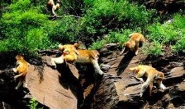 太原五龙口免费吃瓜,免费吃瓜，清凉一夏！