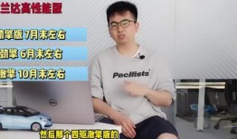 印尼猪瘟最新爆料视频,视频揭露真相与应对措施