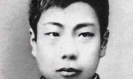 鲁迅最新爆料新闻视频,揭秘历史真相，引发社会热议