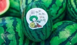 网红新瓜最新爆料,揭秘娱乐圈惊人内幕！