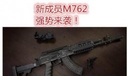 新版本枪械爆料视频教程,视频教程深度解析