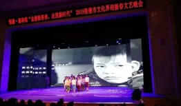 永辉艺术学校爆料视频,校园生活与教育真相