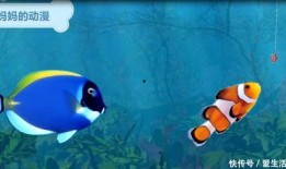鱼动漫在线观看,在线观看指南
