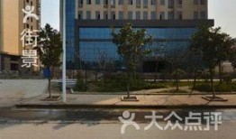 永辉艺术学校爆料视频,校园生活与教育真相