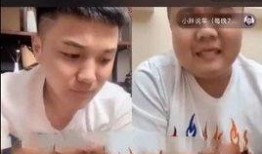 功夫小胖爆料视频大全,揭秘幕后故事与精彩瞬间