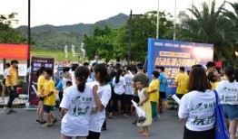 碧桂园爆料音乐视频,梦幻家园的旋律之旅