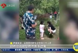 网友爆料旅游视频大全,旅游视频大全，带你领略世界风光