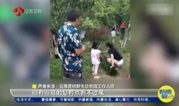 网友爆料旅游视频大全,旅游视频大全，带你领略世界风光