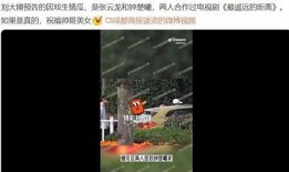 刘大锤爆料张云龙视频,揭秘幕后故事