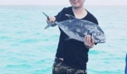 张荣爆料大鱼视频,独家爆料背后的真相