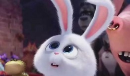 爱宠大机密2免费完整版在线观看