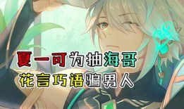 原神爆料海哥视频在哪看,独家爆料带你领略游戏魅力