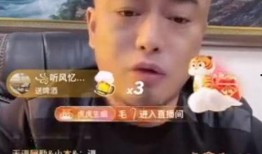 辛巴哥最新爆料,揭秘娱乐圈最新动态与幕后故事