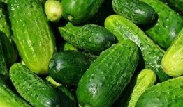 吃瓜群众黄瓜爆料视频大全,黄瓜爆料视频大全精彩回顾