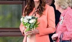 俄罗斯爆料凯特王妃视频,俄罗斯曝光凯特王妃私密视频引发舆论风暴