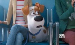 爱宠大机密2免费完整版在线观看