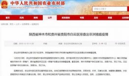 猪瘟最新爆料消息,揭秘病毒传播途径与防控措施