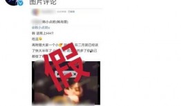 帆帆被爆料视频,揭秘背后真相与争议