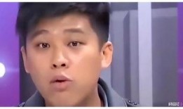 翻车明星大爆料视频合集,翻车明星大爆料视频合集深度解析