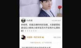 网曝黑料独家爆料视频大全,独家爆料视频大全深度解析