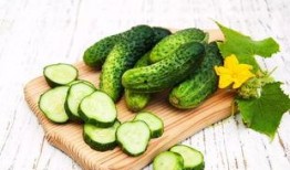 吃瓜群众黄瓜爆料视频大全,黄瓜爆料视频大全精彩回顾