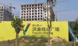 最新爆料河南郑州富士康,揭秘生产线背后的故事与挑战”