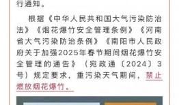 南阳头条最新爆料,最新爆料事件深度解析