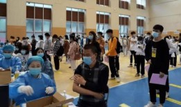 中叶优创最新爆料消息,揭秘行业变革背后的秘密