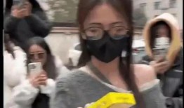 吃瓜爆料女记者视频,视频背后的真相与争议