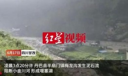 四川爆料大全视频,揭秘热点事件背后的真相