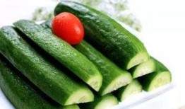 吃瓜群众黄瓜爆料视频大全,黄瓜爆料视频大全精彩回顾