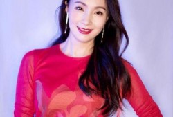 陶虹车祸爆料视频最新消息,事故详情及各方回应揭晓