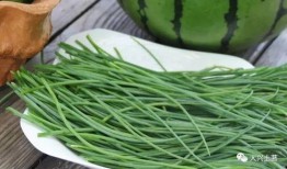 吃瓜区的网红,揭秘吃瓜区网红的崛起之路