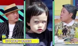 功夫小胖爆料视频大全,揭秘幕后故事与精彩瞬间