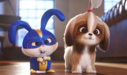 爱宠大机密2免费完整版在线观看