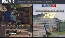 中二青年爆料视频合集下载,视频合集下载背后的疯狂故事