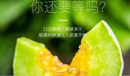 如何吃网红的瓜