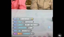 孙雨涵爆料董宇辉视频,揭秘背后惊人内幕