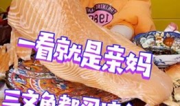 快手汤圆爆料视频,揭秘短视频背后的精彩故事