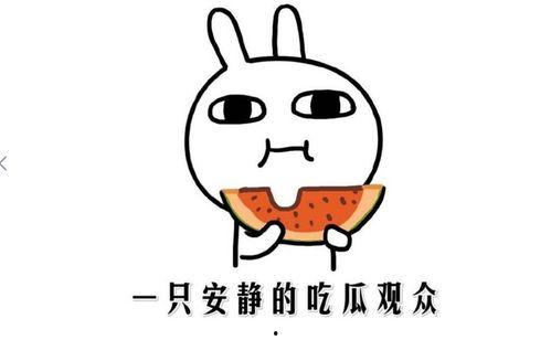 今天吃瓜事件,娱乐圈最新热点事件深度解析